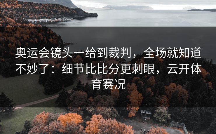 奥运会镜头一给到裁判，全场就知道不妙了：细节比比分更刺眼，云开体育赛况